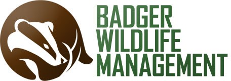 Badger Wildlife Management Logo